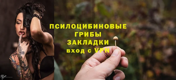 spice Дмитров